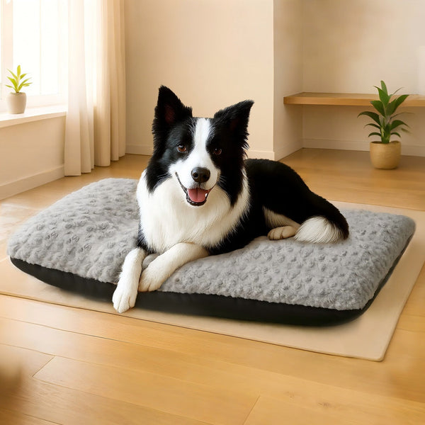 Pawz Pet Bed Dog Soft Warm Plush Mattress Pet Beds