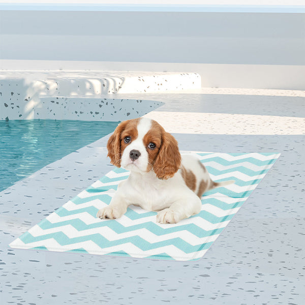 Pawz Pet Cooling Mat S Blue Pet Beds