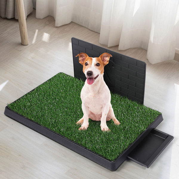 Pawz Indoor Dog Pet Grass Potty Training L Convenient And Clean Solution For Puppy Training Pads