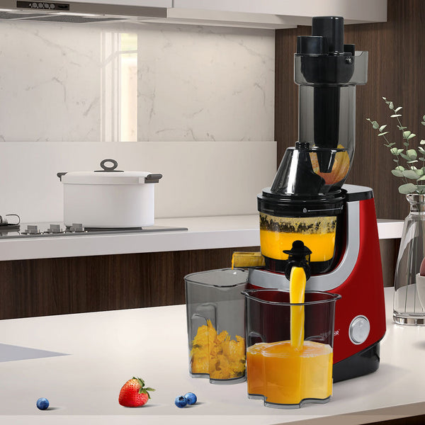 Spector Cold Press Slow Juicer Whole Red Juicers