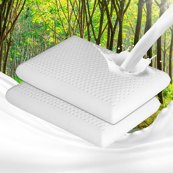 Dreamz 2X Natural Latex Pillow Removable Pillows