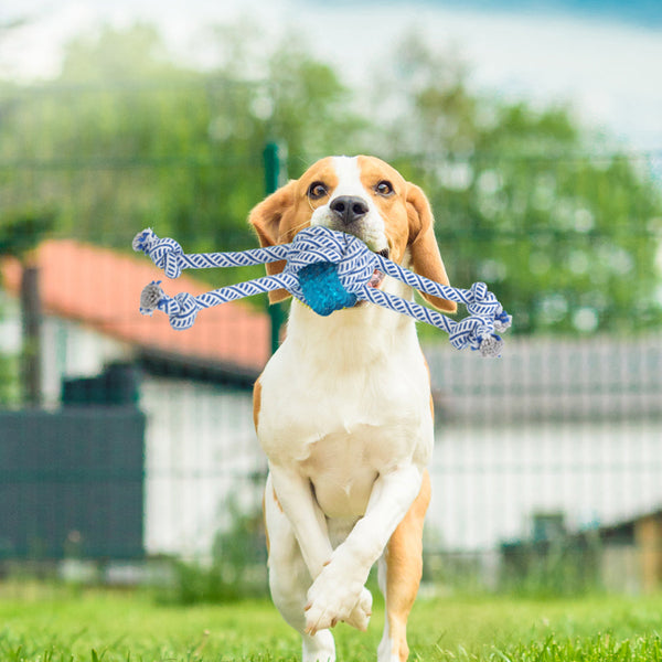 Pawz Dog Chew Toys Squeaky Puppy Pet Dog Toys