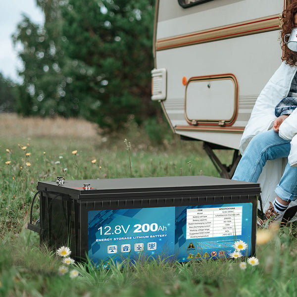 Safetex 12V Lifepo4 Battery Lithium Batteries