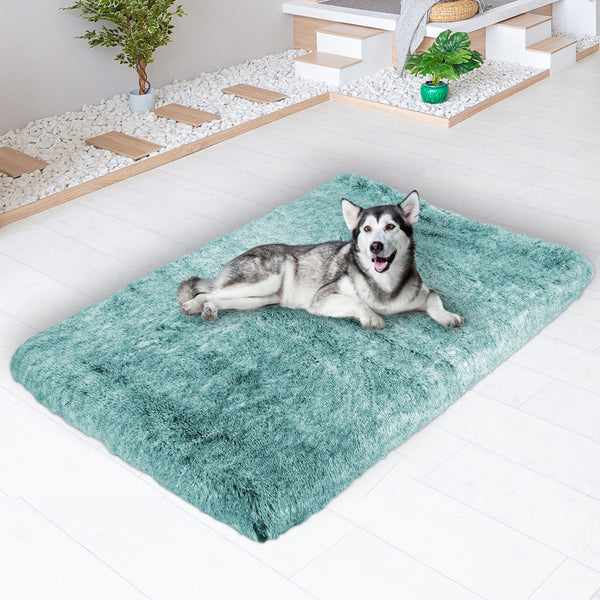 Pawz Dog Mat Pet Calming Bed Memory Xxl Green Large Pet Beds