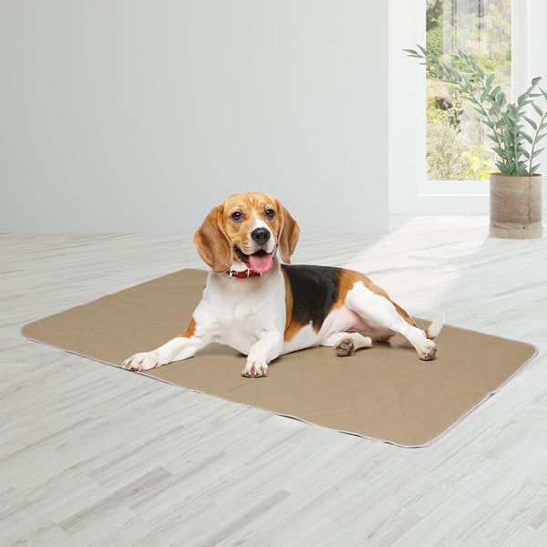 Pawz 2 Pcs 60X90 Cm Reusable Waterproof Large Puppy Training Pads