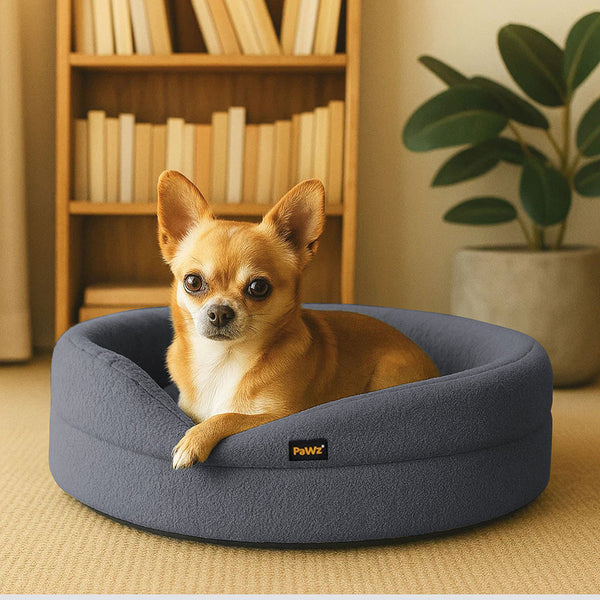 Pawz Pet Orthopedic Calming Bed Memory Foam Dog Sofa Pet Beds