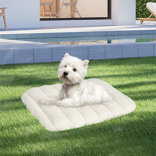 Pawz S Size Orthopedic Dog Bed With Sherpa Plush Removable Cover In White Pet Beds