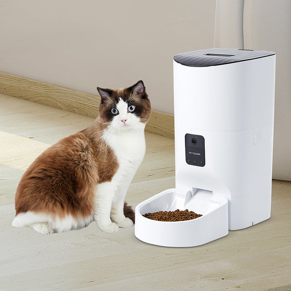 Pawz 6L Auto Feeder Pet Automatic Camera Dog Automatic Feeders