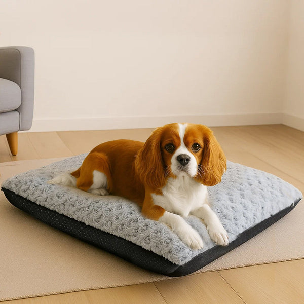 Pawz Pet Bed Dog Soft Warm Plush Mattress Pet Beds