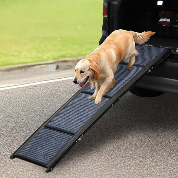Pawz Dog Ramp Durable And Safe For Easy Access Dogs Of All Sizes Pet Transport