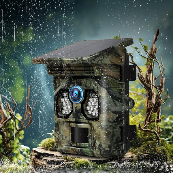 Kvenland Camera Digital Cameras