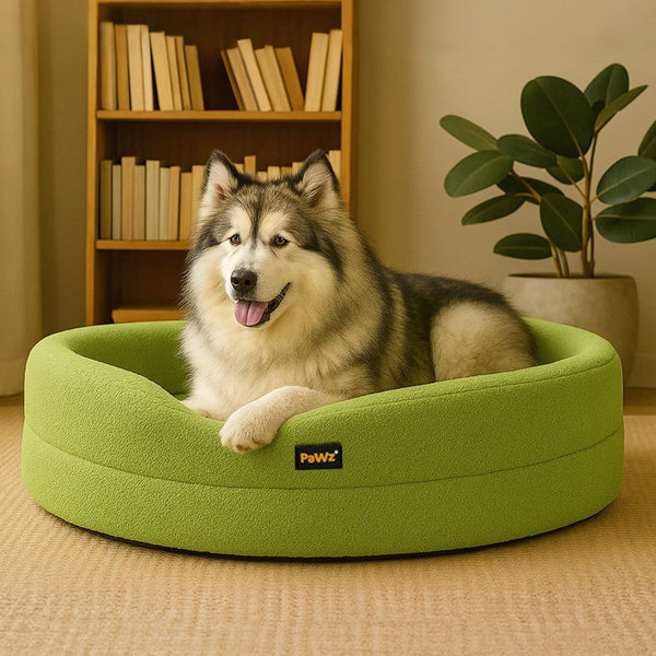 Pawz Pet Orthopedic Calming Bed Memory Foam Dog Sofa Xx Large Pet Beds
