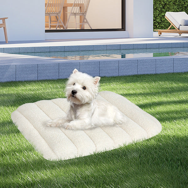 Pawz M Size Orthopedic Dog Bed With Sherpa Plush Removable Cover In White Pet Beds