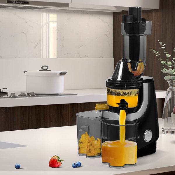 Spector Slow Juicer Cold Press Whole Black Juicers