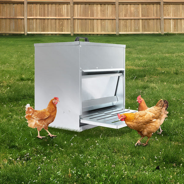 Pawz 10Kg Auto Chicken Feeder Dispenser Galvanised Steel Backyard Poultry Feeders