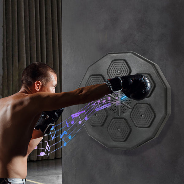 Centra Smart Punching Boxing Electronic Punching Bags