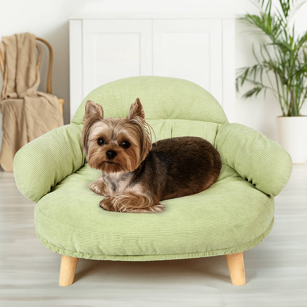 Pawz Elevated Pet Dog Cat Sofa Bed Couch L Size Green Pet Beds