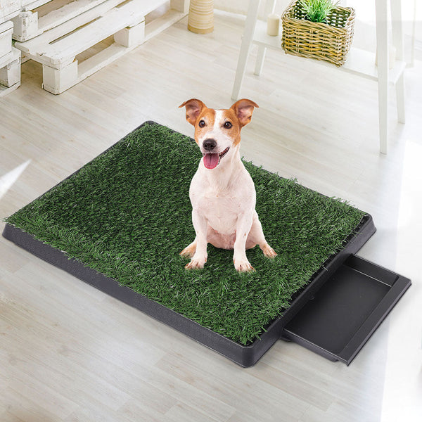 Pawz Indoor Dog Pet Grass Potty Training Puppy Training Pads