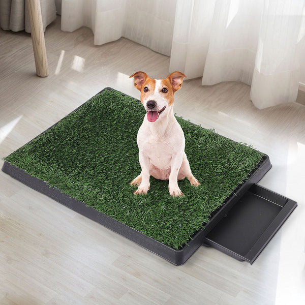 Pawz Indoor Dog Pet Grass Potty Training Puppy Training Pads