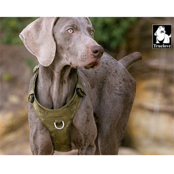 Lightweight Harness Army Green 2Xs Harnesses