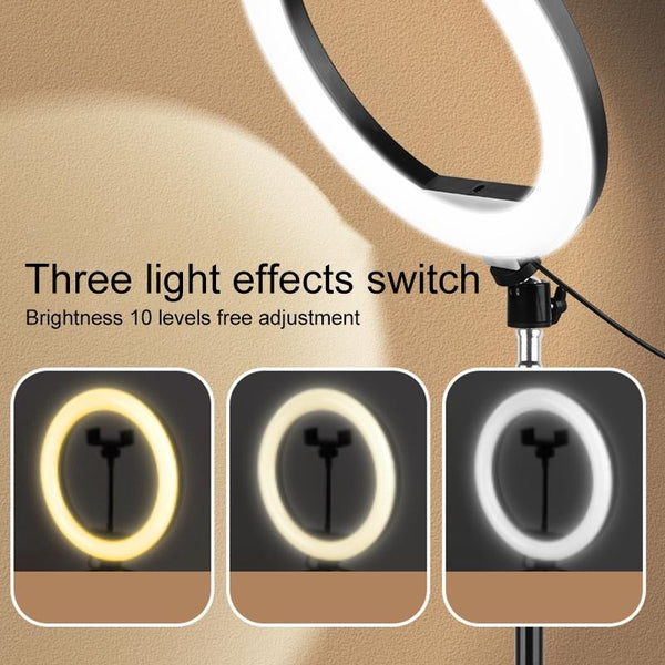 Ten Led Fill Light Tripod With Phone Clamp For Photography And Video Tripods & Monopods