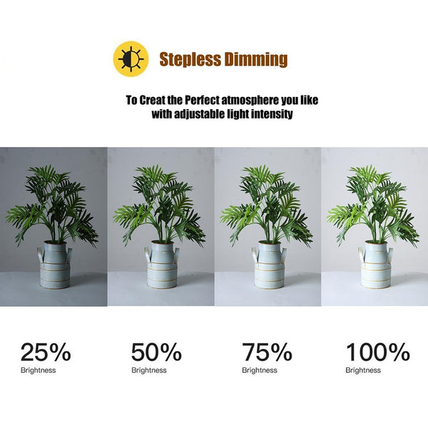 18 Inch Two Colour Dimmable Ring Fill Light With Tripod 55 Watt Power Supply Tripods & Monopods