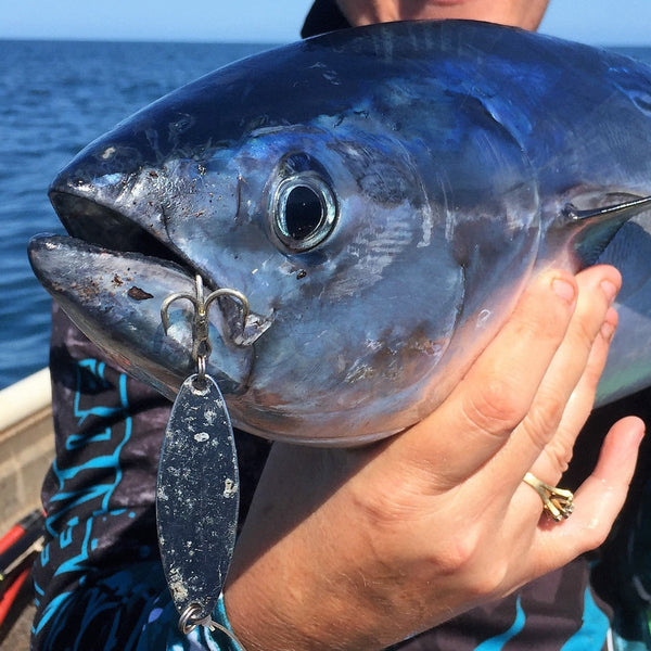 Finesse Chrome Kaster Jig 7 Grams 4 Pack Baits & Lures