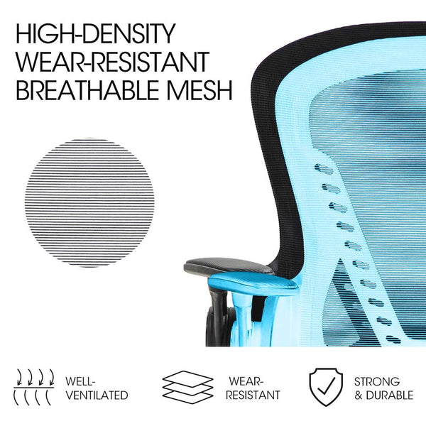 Fortia Ergonomic Office Desk Chair Coolmesh Fabric Adjustable Recline Black Mesh/Black Frame Office Chairs