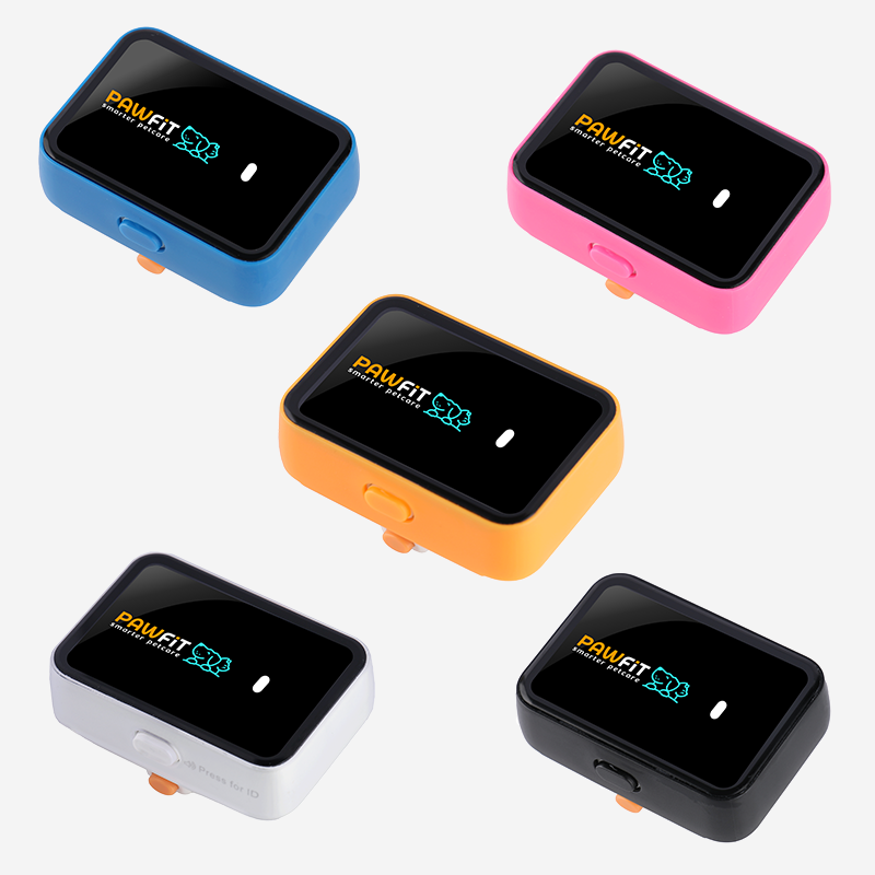 Pawfit Leash Harnesses