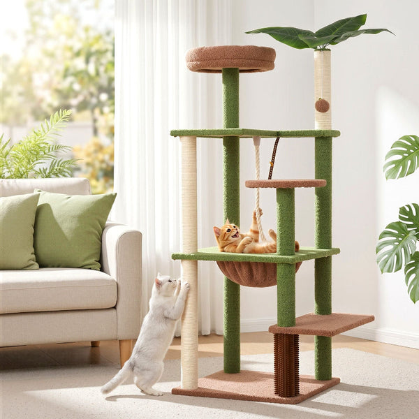 I.Pet 152Cm Jungle Cat Tree Tower With Canopy Scratching Posts & Cradle Furniture & Scratchers