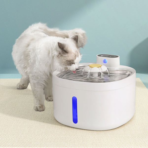 I.Pet Water Fountain Feeder Dispenser Filter Dog Cat Drinking Automatic 2.6L Dog Automatic Feeders