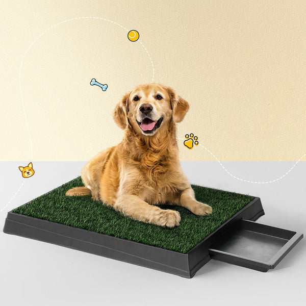 Puppy Training Pads I.Pet Training Pad Dog Potty Toilet Large Portable With Tray Grass 2 Mats