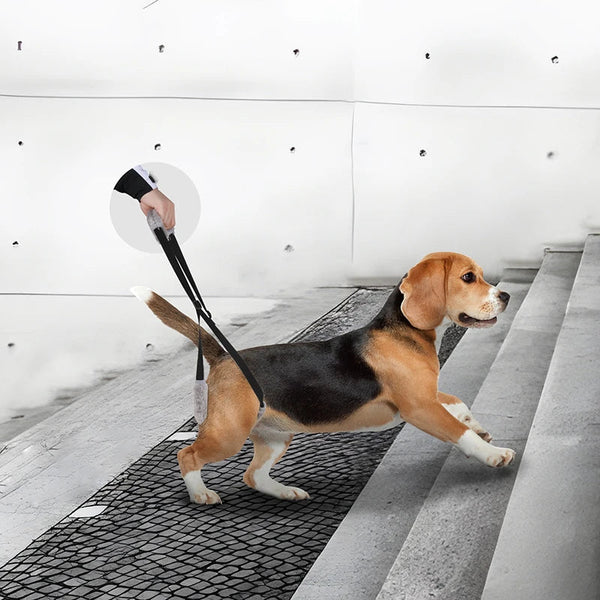 Pet Rear Leg Support Aid Sling Dog Lift Harness For Elderly Dogs With Joint Injury Harnesses