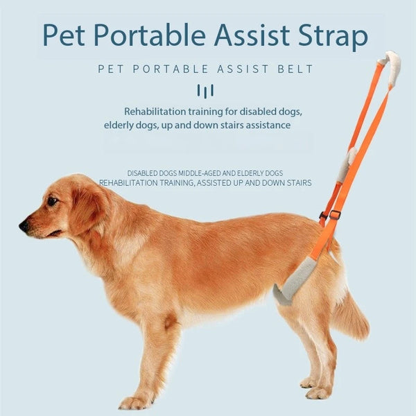 Pet Rear Leg Support Aid Sling Dog Lift Harness For Elderly Dogs With Joint Injury Harnesses