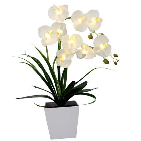 Led Battery Lighted Flower In Pot Orchid Blossom Phalaenopsis Holiday Wedding Home Decoration Gift Floral Décor