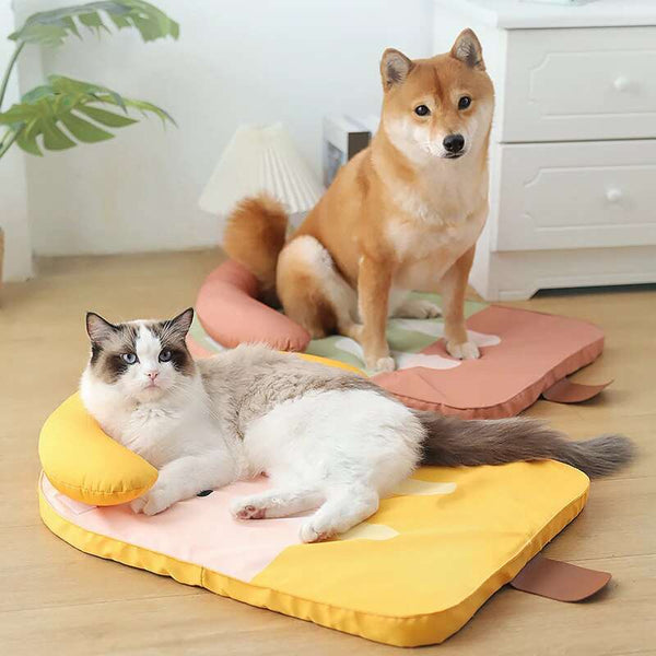 Pet Bed Watermelon Design Washable Cooling Mat With Pillow Extra Large Pet Beds
