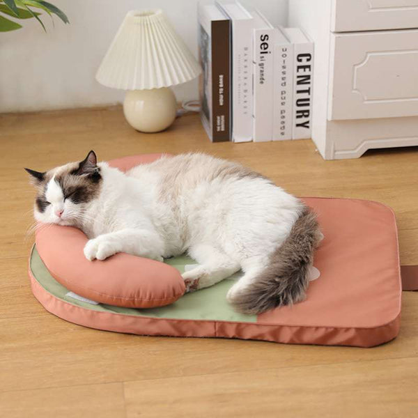 Pet Bed Kiwi Fruit Design Medium Washable Cooling Mat With Pillow Pet Beds