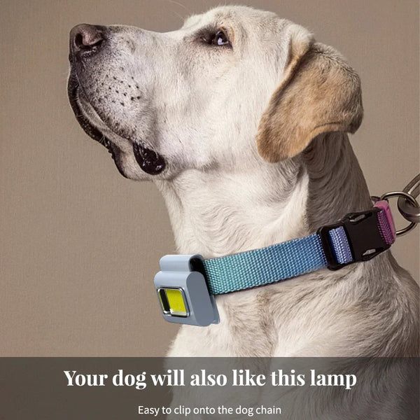 Led Safety Lights Running Clip On Collar Usb Rechargeable Hands Free For Camping Cycling Night Flashlights