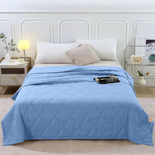 Skin Friendly Cooling Blanket Double Sided Cold Effect Quilt Spring Summer Breathable Quilt

< Blankets