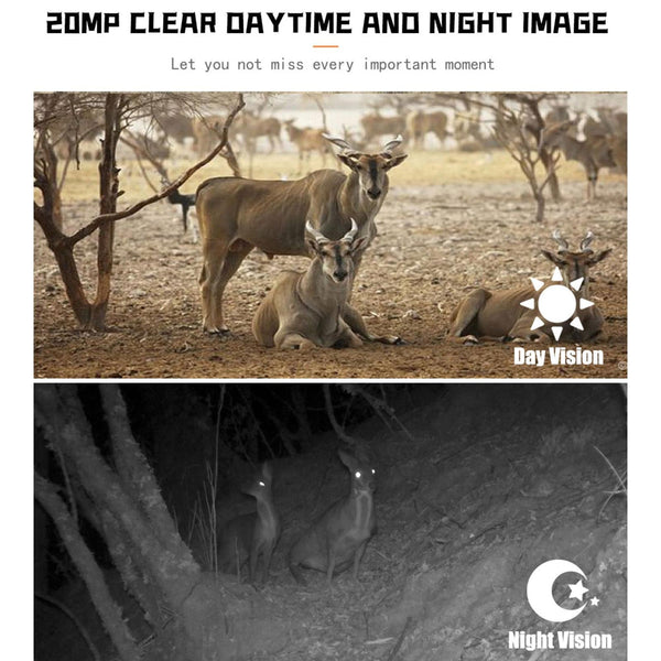 1080P Wildlife Camera With Night Vision For Outdoor Tracking Digital Cameras