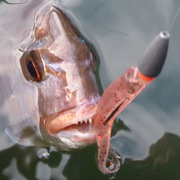 Swimerz 0/1 Long Shank Worm Hook O'shaunessy Style Qty 25 Hooks