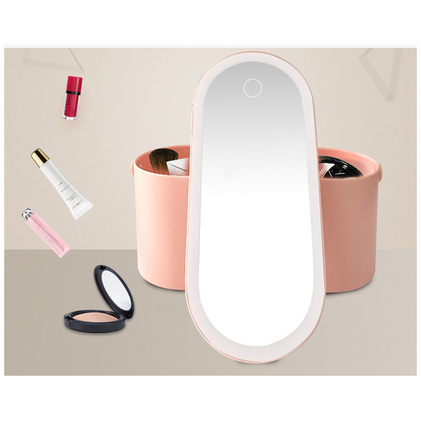 Storage Box Led Makeup Mirror Portable Travel Organizer Carrying Makeup Bags & Cases