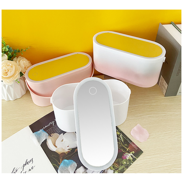 Storage Box Led Makeup Mirror Portable Travel Organizer Carrying Makeup Bags & Cases