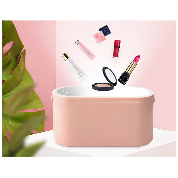 Storage Box Led Makeup Mirror Portable Travel Organizer Carrying Makeup Bags & Cases