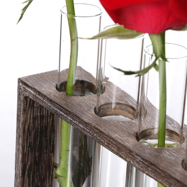 Minimalist Hydroponic Glass Vase With Wooden Frame For Home And Garden Decor Vases