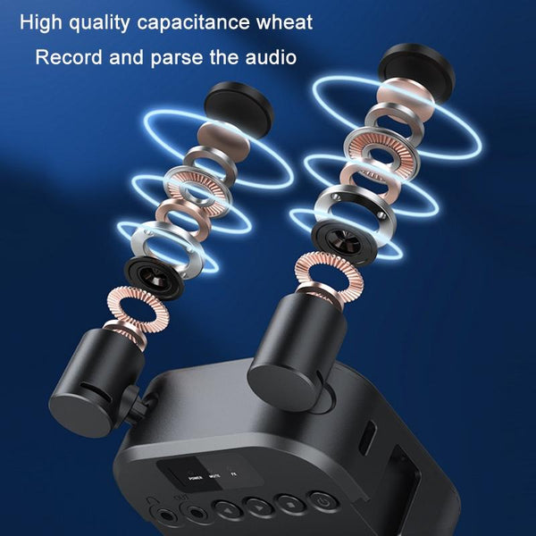 Multi Angle Stereo Microphone With Adjustable Lights And Three Temperature Options Microphones