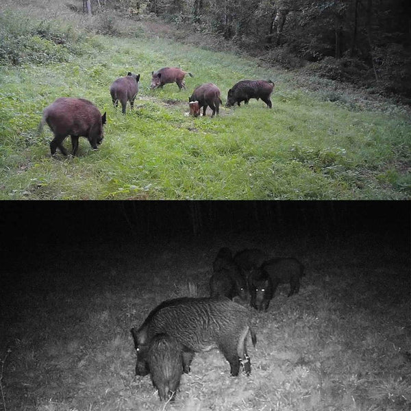 24 Megapixel 2.7K Outdoor Track Camera For Infrastructure Monitoring And Tracking Digital Cameras