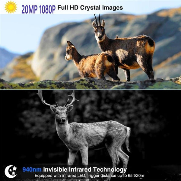 Outdoor 4G Night Vision Trail Camera With Infrared And Remote Control Functionality Digital Cameras