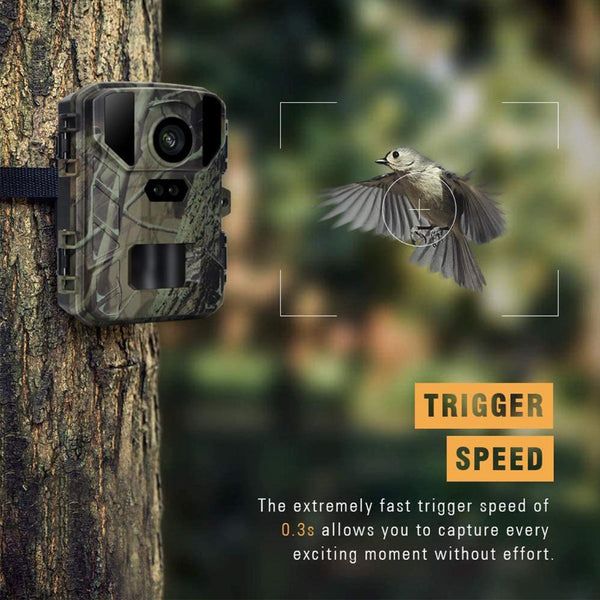 50Mp Four K Mini Wildlife Hunt Camera With Night Vision Digital Cameras