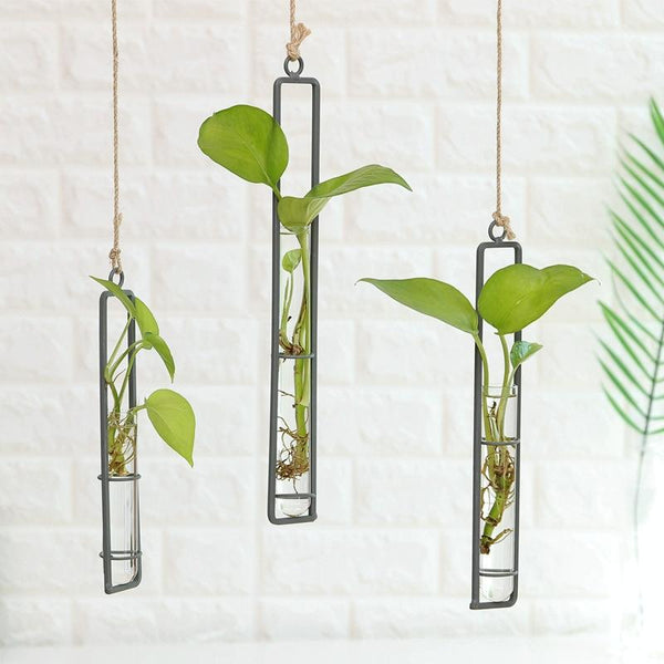 Home Gardening Iron Art Glass Wall Hanging Decorative Accessory Size M Posters & Wall Hangings